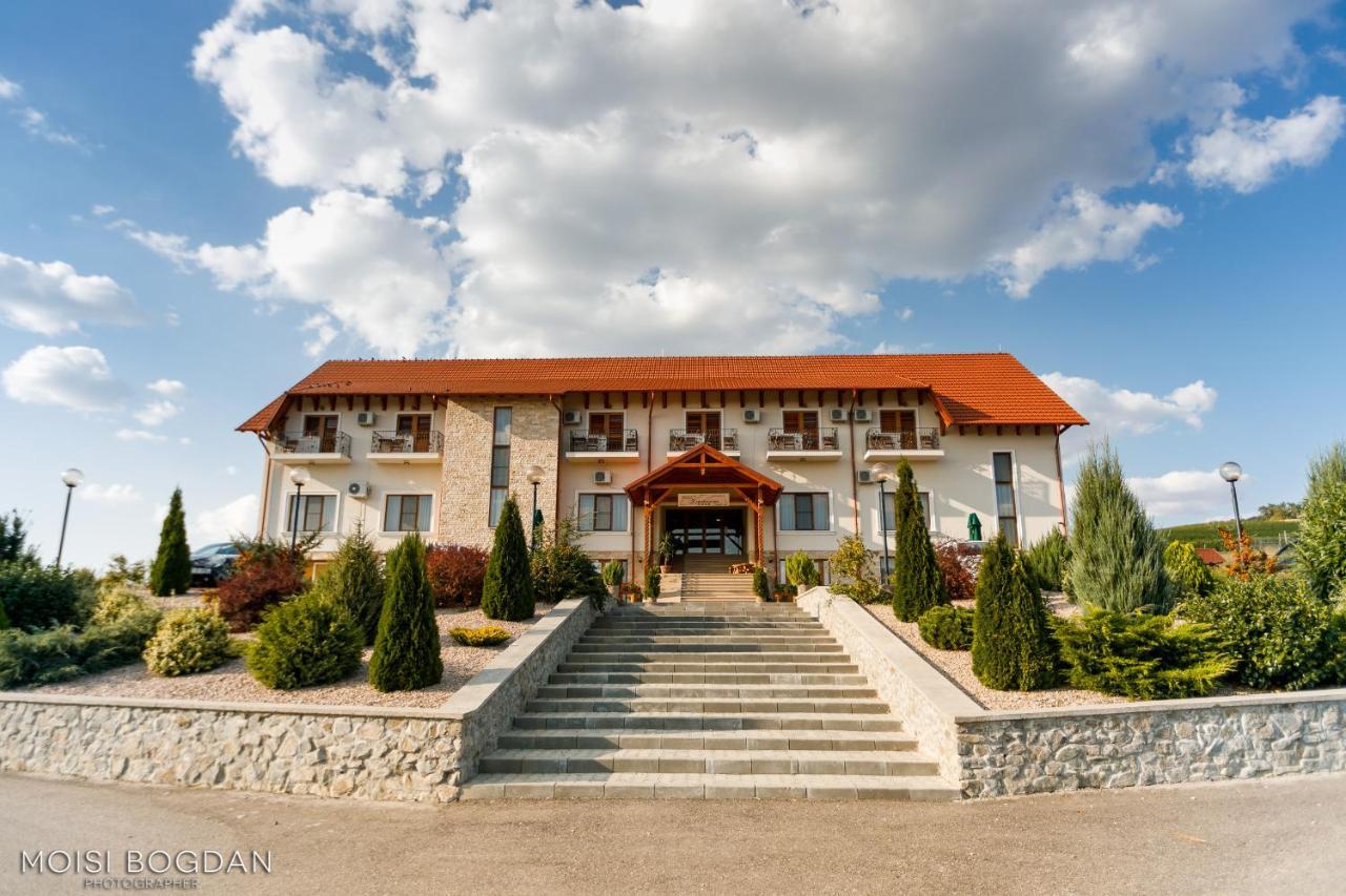 Pensiunea Kemsilvanum Fort Silvan Camar Luaran gambar