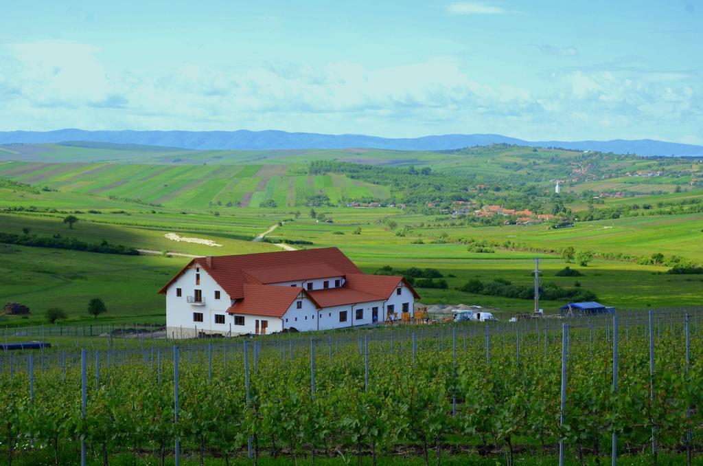 Pensiunea Kemsilvanum Fort Silvan Camar Luaran gambar